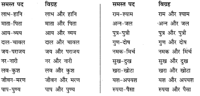 समास और समास के भेद | Hindi Language for Teaching Exams - DSSSB TGT/PGT/PRT
