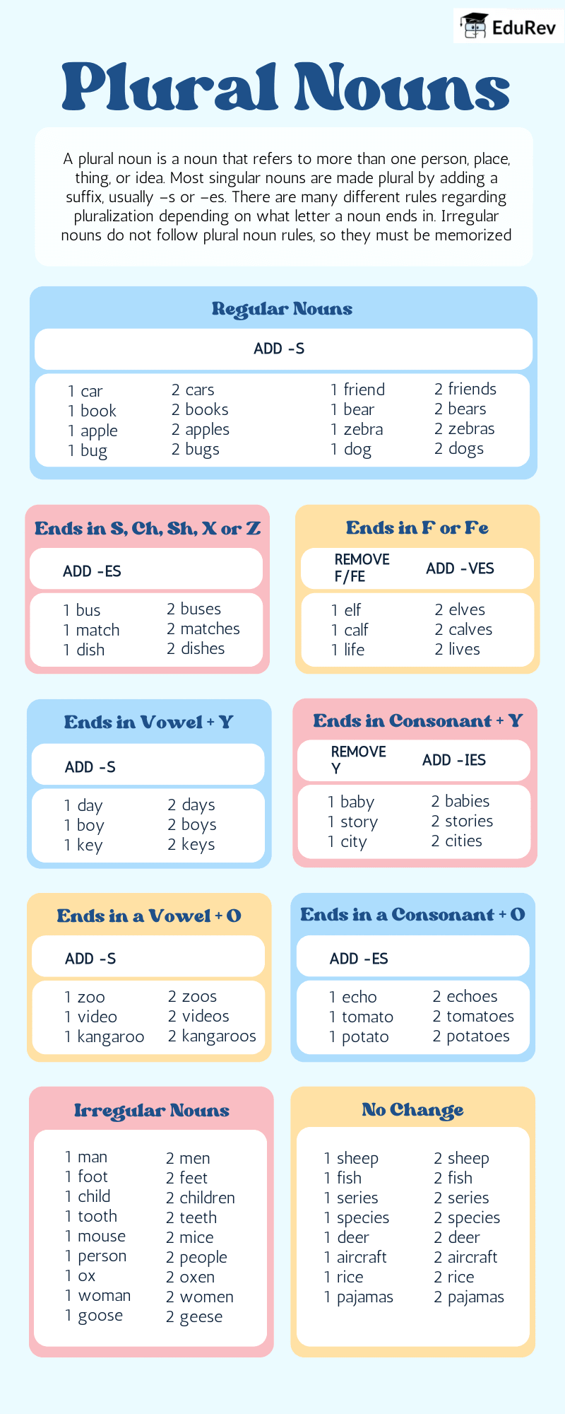 Infographics: Plural Nouns | English Grammar Class 7
