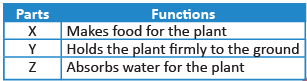 Science Olympiad Model Test Paper - 3 | Science Olympiad for Class 3