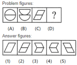 Logical Reasoning Section