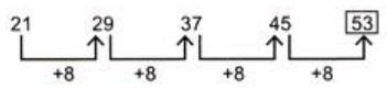 Science Olympiad Previous Year Questions - 2 | Science Olympiad for Class 3
