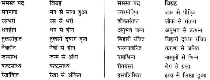 समास और समास के भेद | Hindi Language for Teaching Exams - DSSSB TGT/PGT/PRT