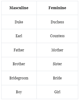 The Noun | English Grammar Class 7