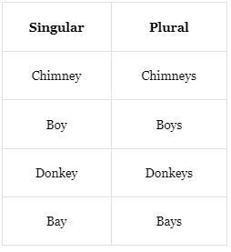 The Noun Numbers | English Grammar Class 7
