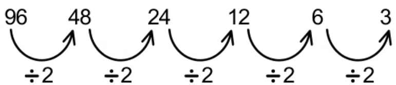 Number Series | Science Olympiad for Class 3