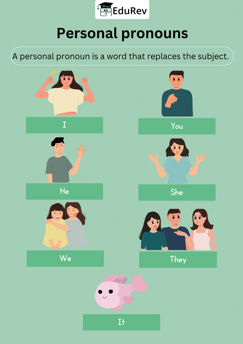 Infographics: The Pronoun | English Grammar Class 7