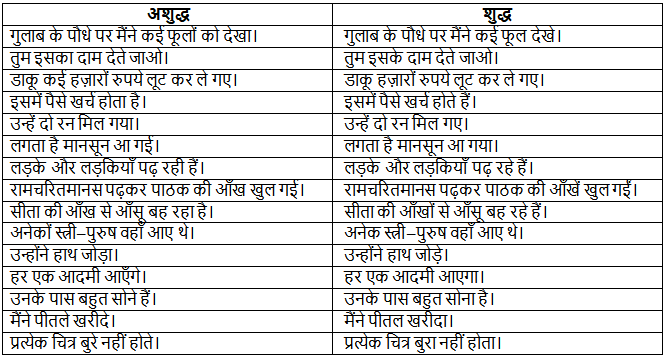 अशुद्धि शोधन | Hindi Class 5