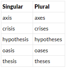 Irregular Plurals | English Grammar Class 5