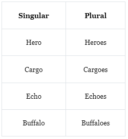 The Noun Numbers | English Grammar Class 7