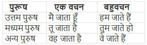 काल और काल के भेद | Hindi Class 5