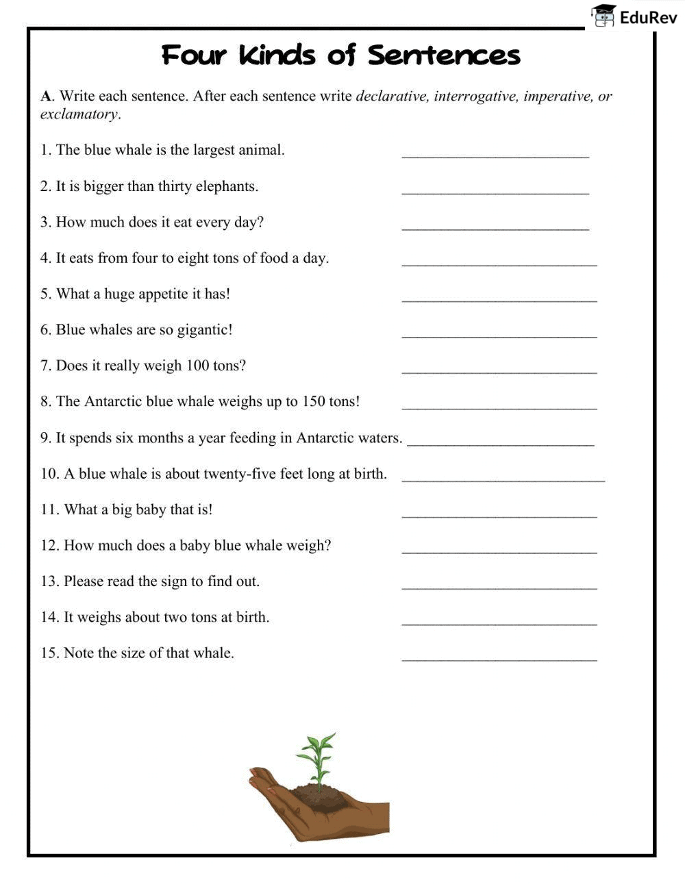 Printable Worksheet: The Sentence | English Grammar Class 4