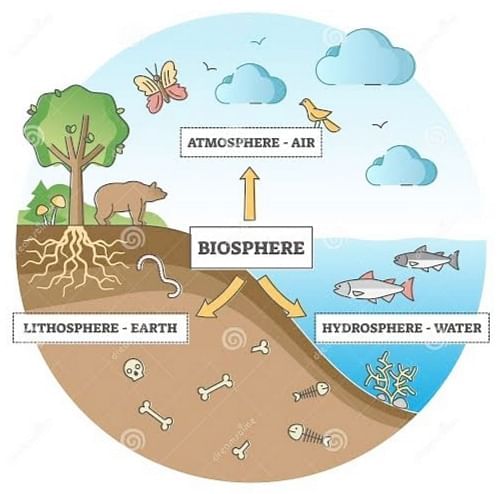 Natural Resources of the Earth | Science Olympiad Class 9