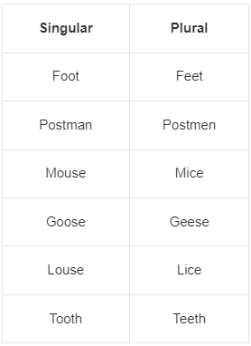 The Noun Numbers | English Grammar Class 7