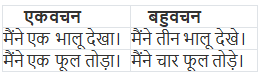 लिंग, वचन और कारक | Hindi Class 5