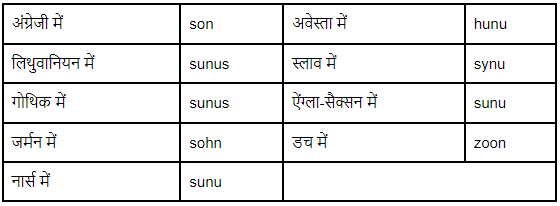 शब्द परिवार | Hindi Vyakaran (हिन्दी व्याकरण) Class 8
