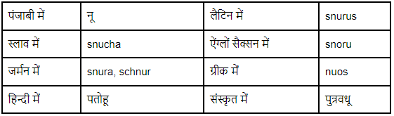 शब्द परिवार | Hindi Vyakaran (हिन्दी व्याकरण) Class 8