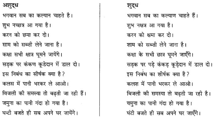 अशुद्धि शोधन | हिंदी व्याकरण - कक्षा 10 - Class 10