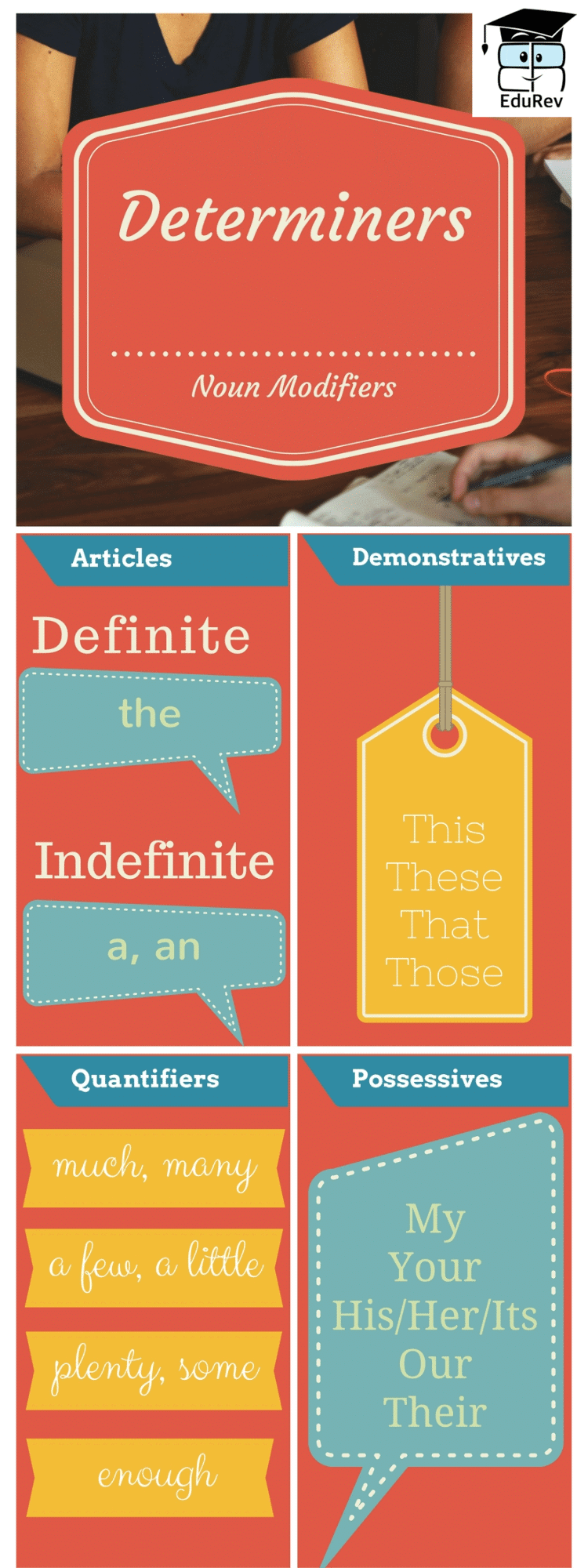 Poster: Determiners | English Grammar Class 5
