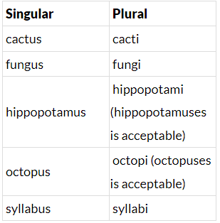 Irregular Plurals | English Grammar Class 5