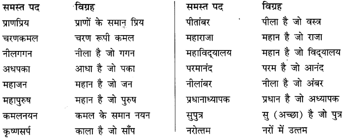 समास और समास के भेद | Hindi Language for Teaching Exams - DSSSB TGT/PGT/PRT