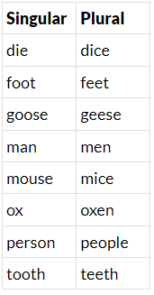 Irregular Plurals | English Grammar Class 5
