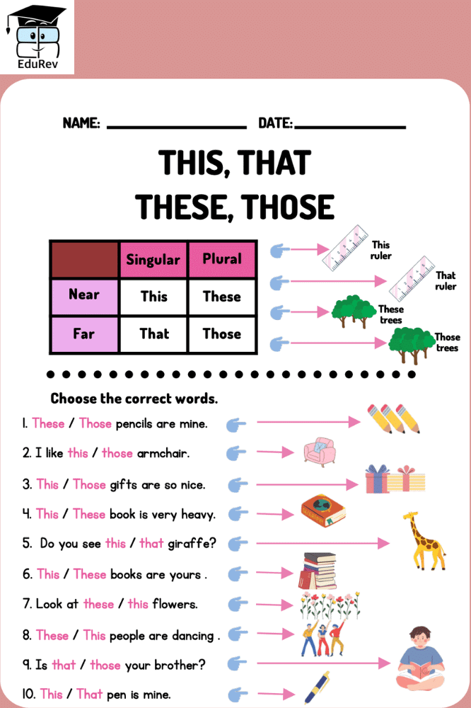 Printable Worksheet: Determiners | Worksheets with Solutions for Class 5