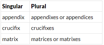Irregular Plurals | English Grammar Class 5