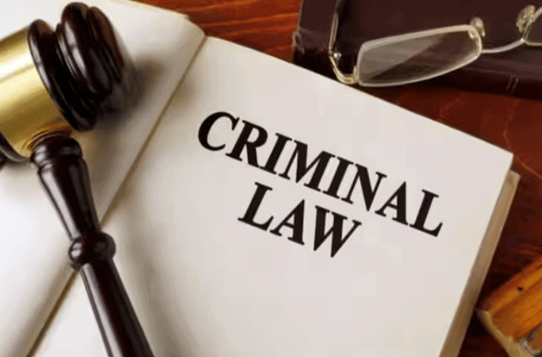 Criminal Laws in India Chapter Notes | Legal Studies for Class 12 - Humanities/Arts