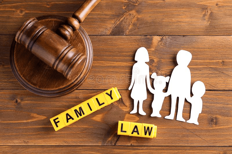 Institutional Framework - Marriage and Divorce Chapter Notes | Legal Studies for Class 11 - Humanities/Arts