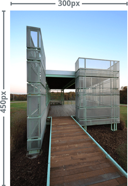 Getting Started with Image Editing | Image Editing for Beginners - Class 8