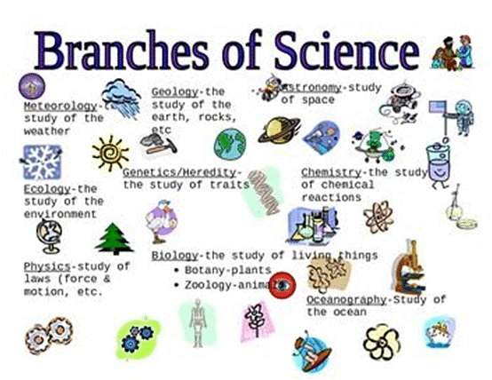 Science | GK Olympiad for Class 8