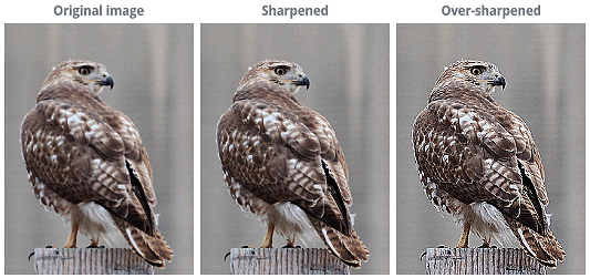 Fixing Common Problems | Image Editing for Beginners - Class 8