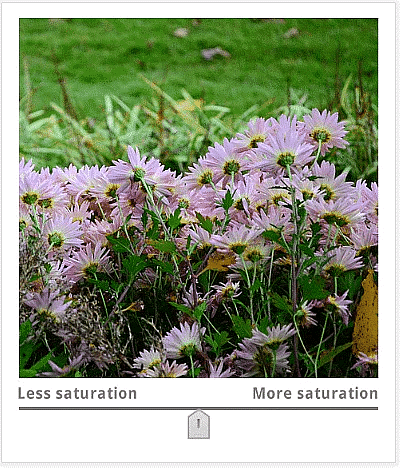 Fixing Common Problems | Image Editing for Beginners - Class 8