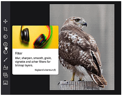 Fixing Common Problems | Image Editing for Beginners - Class 8