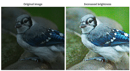 Fixing Common Problems | Image Editing for Beginners - Class 8