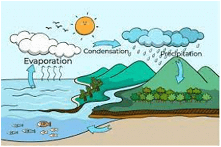 Science | GK Olympiad for Class 8