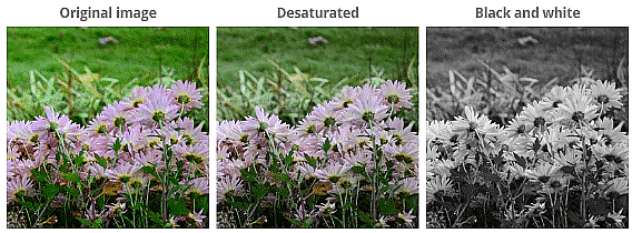 Fixing Common Problems | Image Editing for Beginners - Class 8