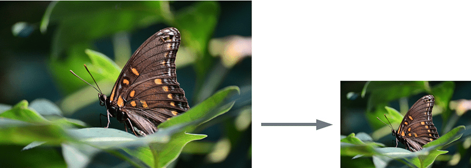 Getting Started with Image Editing | Image Editing for Beginners - Class 8