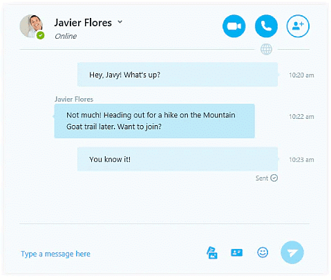 Instant Messaging with Skype | Social Media - Class 8