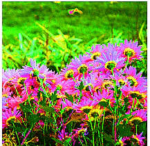 Fixing Common Problems | Image Editing for Beginners - Class 8