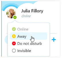 Making Voice Calls with Skype | Social Media - Class 8