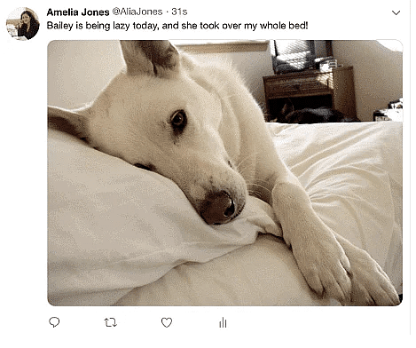 Photo sharing options