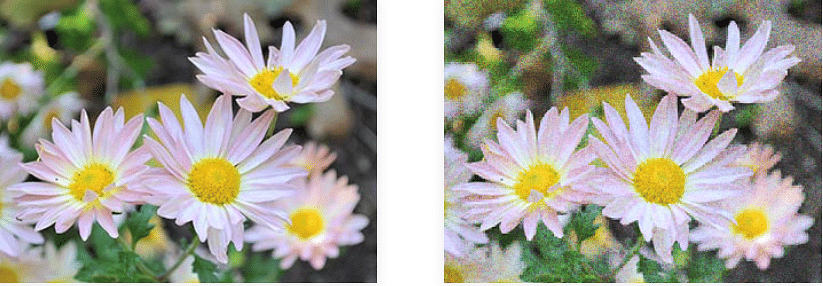 Getting to Know Your Camera | Digital Photography - Class 8