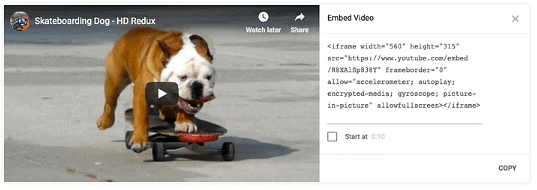Sharing Videos | Social Media - Class 8