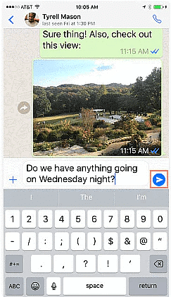 Text Messaging | Social Media - Class 8
