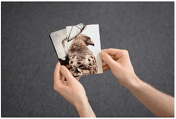 Photo printing options