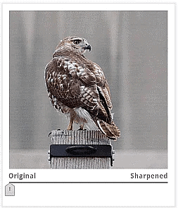 Fixing Common Problems | Image Editing for Beginners - Class 8