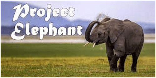 Animals | GK Olympiad for Class 8