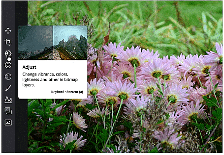 Fixing Common Problems | Image Editing for Beginners - Class 8