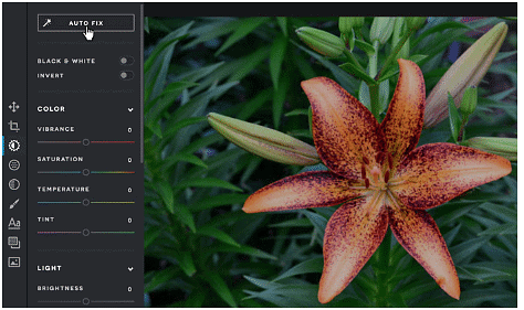 Fixing Common Problems | Image Editing for Beginners - Class 8